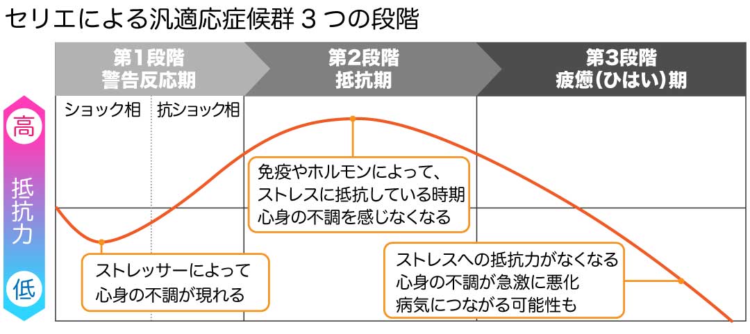 セリエによる汎適応症候群3つの段階