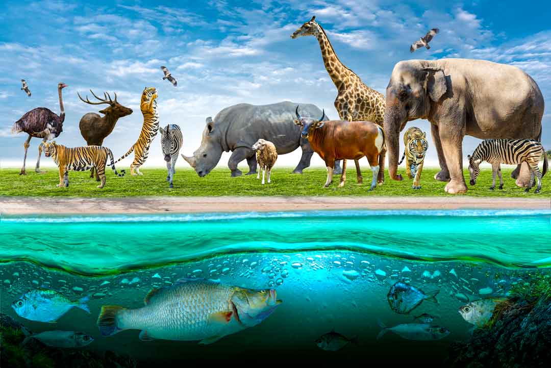 すべての生物は細胞からできている